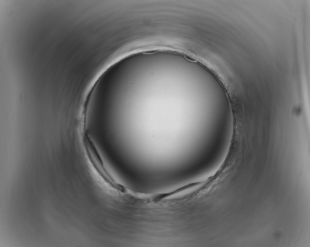 X0000097901524200803211430