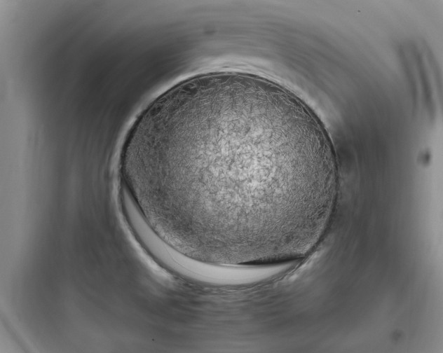 X0000097901525200803211430