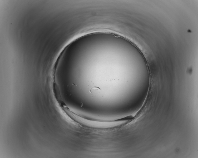 X0000097901526200803211430