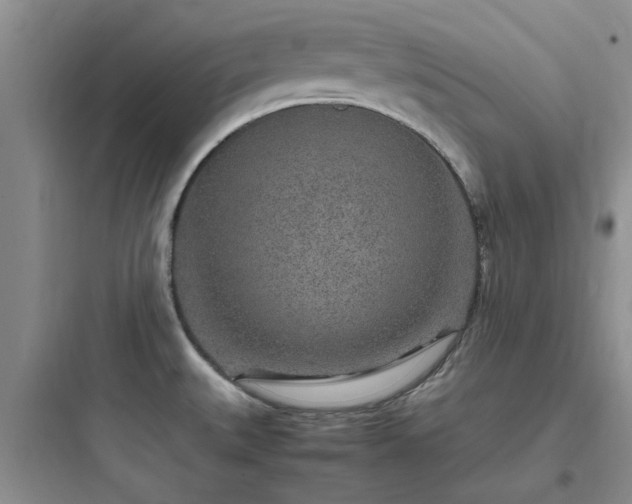 X0000097901527200803211430