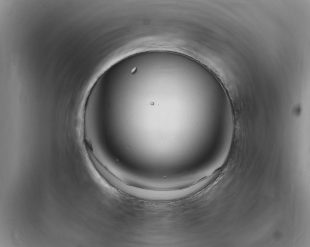 X0000097901528200803211430