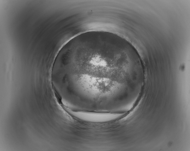 X0000097901529200803211430