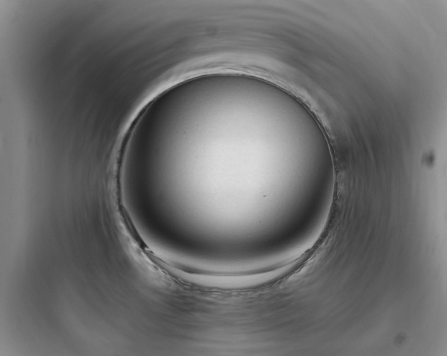 X0000097901530200803211430