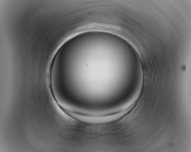 X0000097901531200803211430