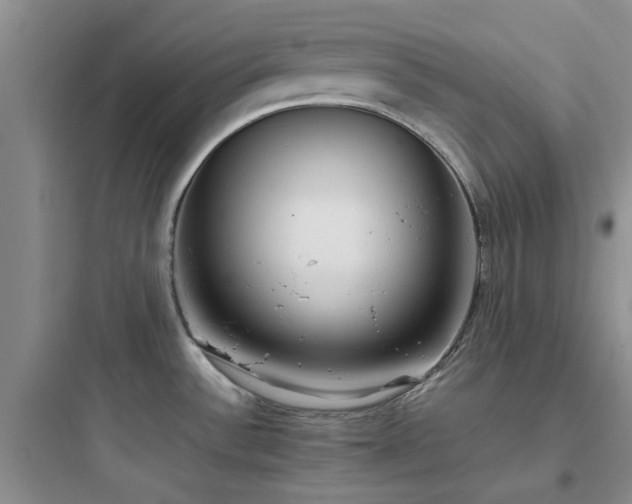 X0000097901532200803211430
