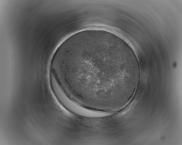 X0000097901533200803211430