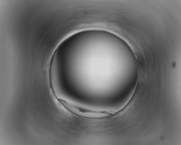 X0000097901534200803211430