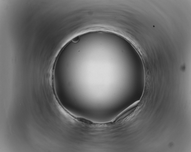 X0000097901535200803211430