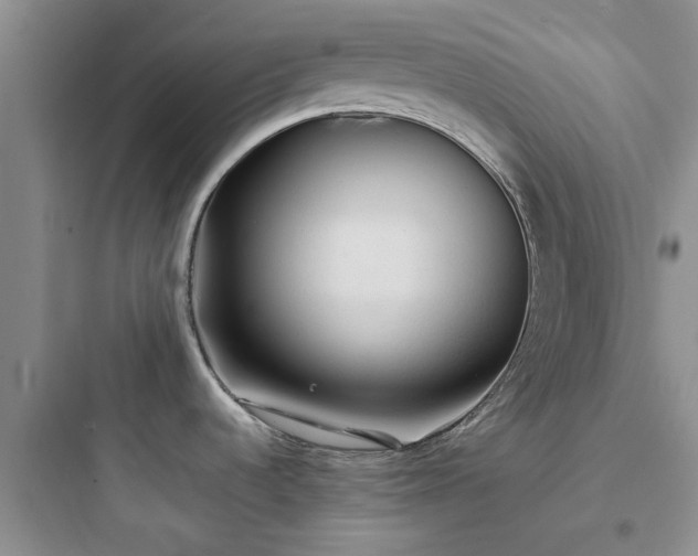 X0000097901536200803211430