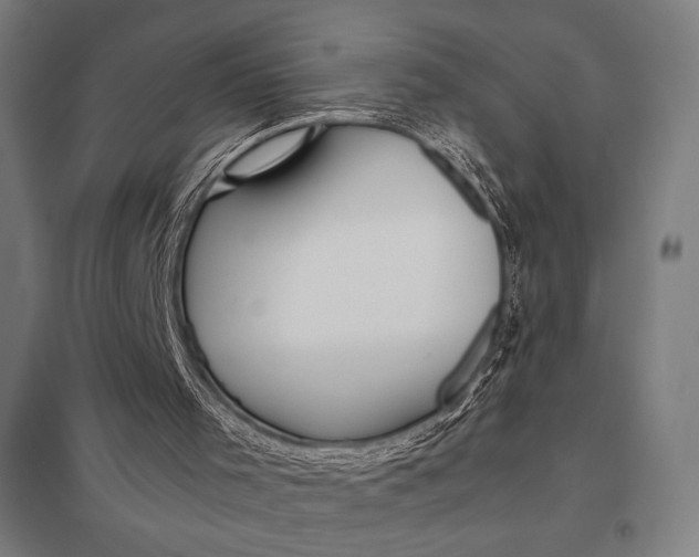 X0000097900001200803281350