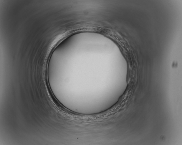 X0000097900003200803281350