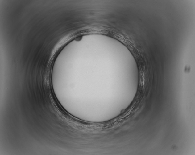 X0000097900004200803281350