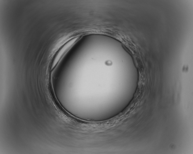 X0000097900005200803281350