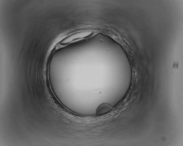 X0000097900006200803281350