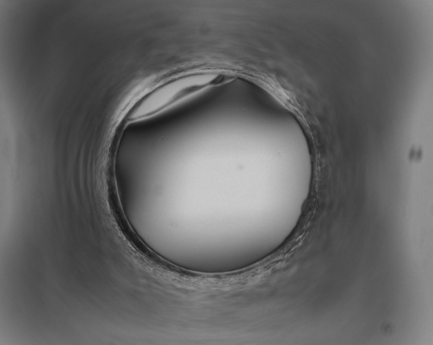 X0000097900007200803281350