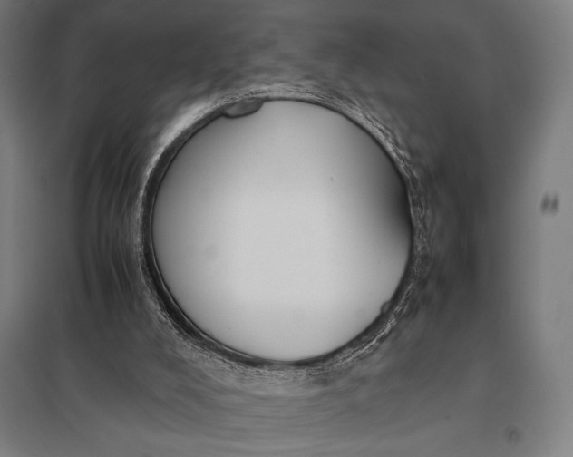 X0000097900008200803281350