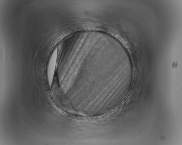 X0000097900009200803281350