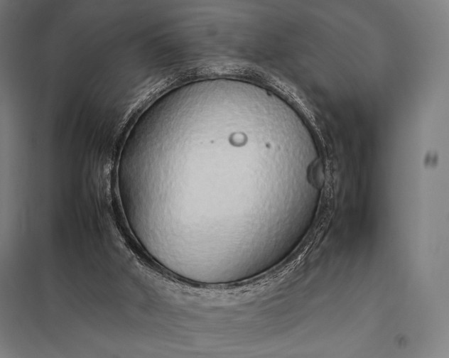 X0000097900010200803281350