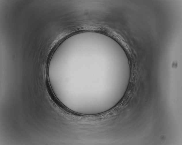 X0000097900011200803281350