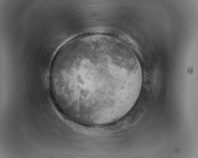 X0000097900012200803281350