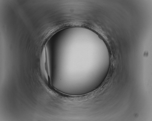 X0000097900013200803281350