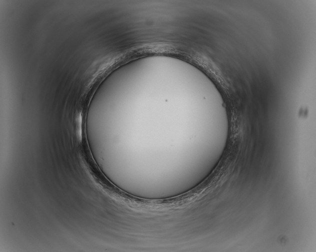 X0000097900014200803281350