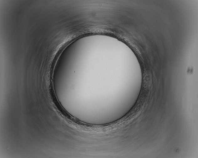 X0000097900015200803281350