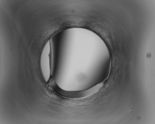 X0000097900017200803281350