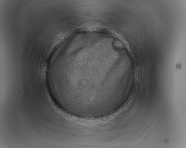 X0000097900018200803281350