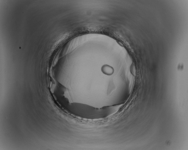 X0000097900019200803281350