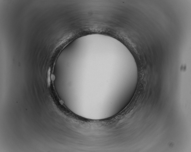 X0000097900020200803281350