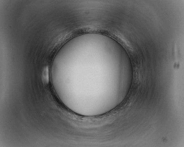 X0000097900022200803281349