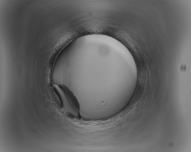 X0000097900023200803281349