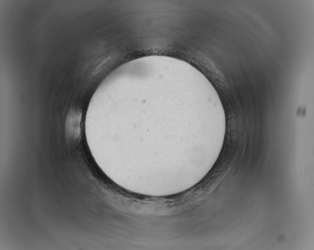 X0000097900024200803281349