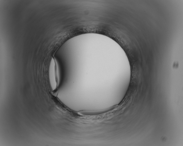 X0000097900025200803281349