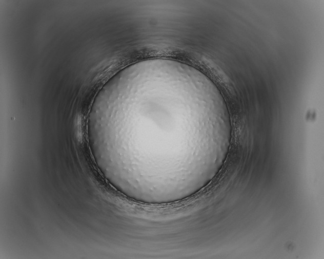 X0000097900026200803281349