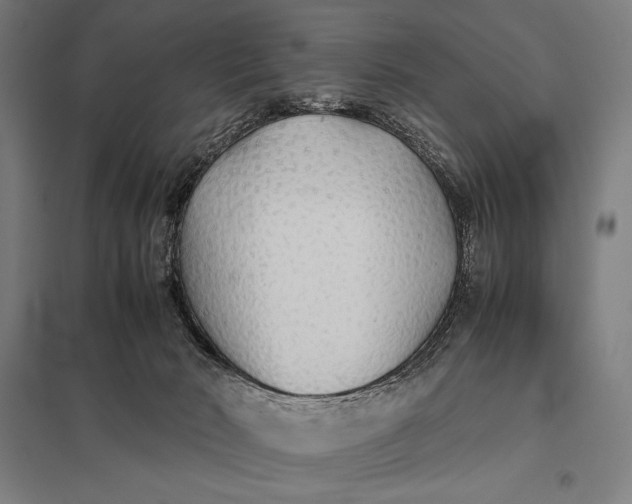 X0000097900030200803281349