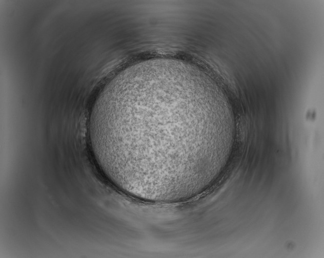 X0000097900032200803281349