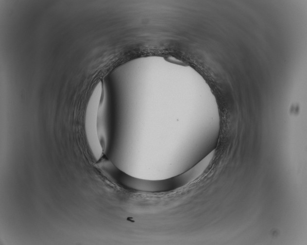 X0000097900033200803281349