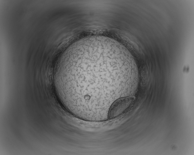 X0000097900034200803281349