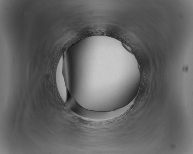 X0000097900037200803281349