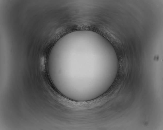 X0000097900038200803281349