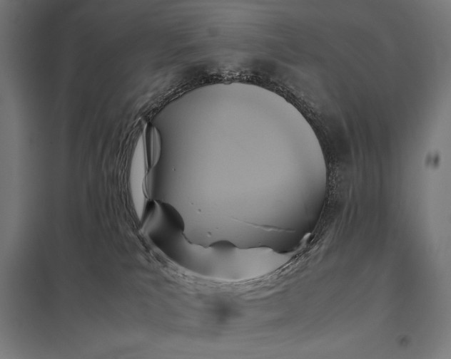 X0000097900039200803281349