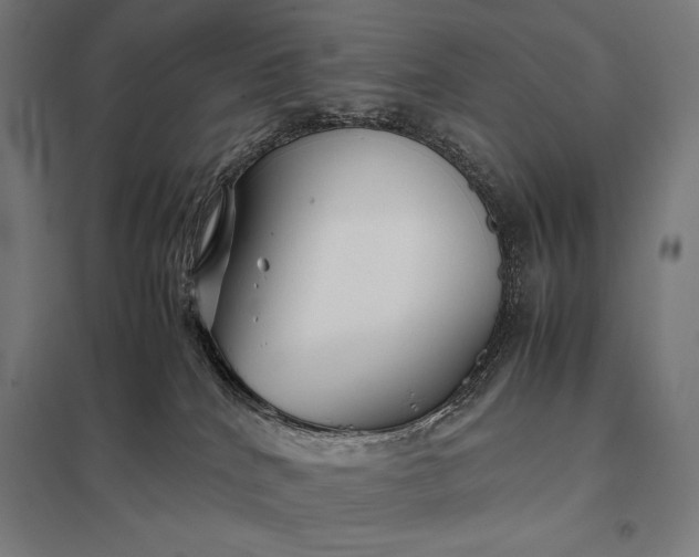 X0000097900040200803281349