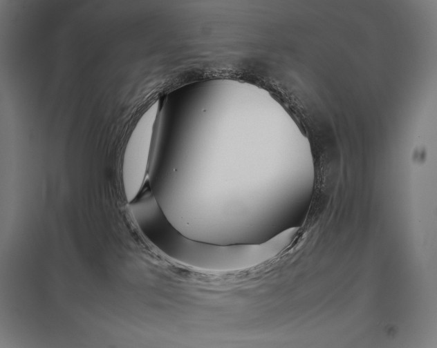 X0000097900041200803281349