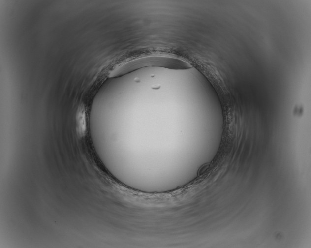 X0000097900042200803281349