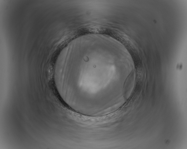 X0000097900043200803281349