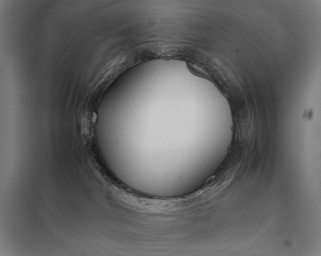 X0000097900044200803281349