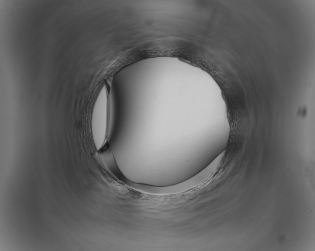 X0000097900045200803281349