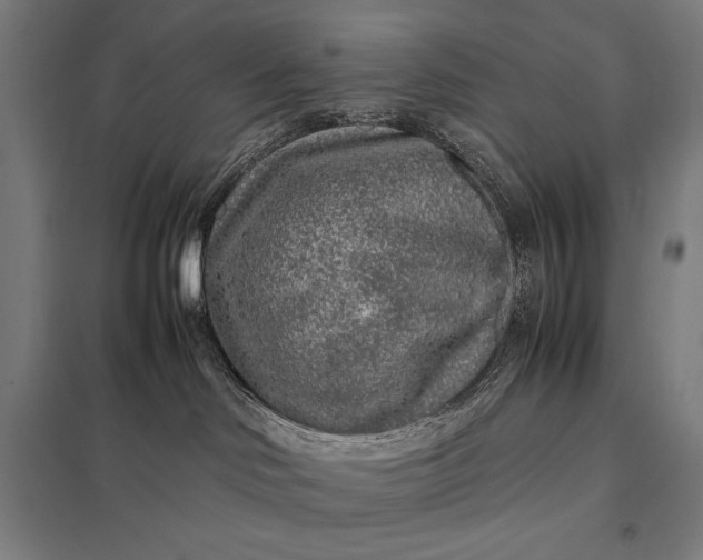 X0000097900046200803281349